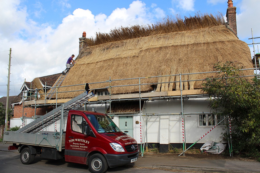 Sparring water reed onto a wheat reed base in Sturminster Marshall
