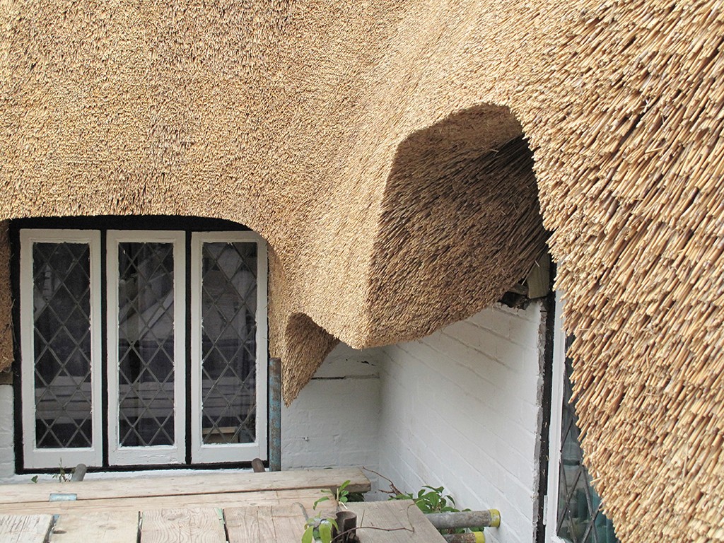 Close up of water reed eave detail