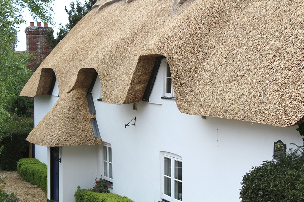 Eave detail of cottage in Crow which was re-thatched in water reed