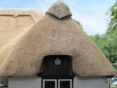 Water Reed Thatching by Tom Whiteley Thatching, New Forest Hampshire