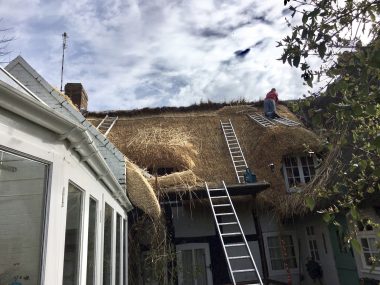 Holly Cottage, Sturminster Marshall