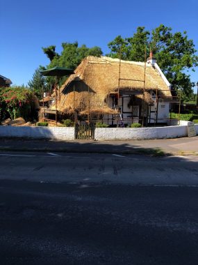Thatching in heatwave